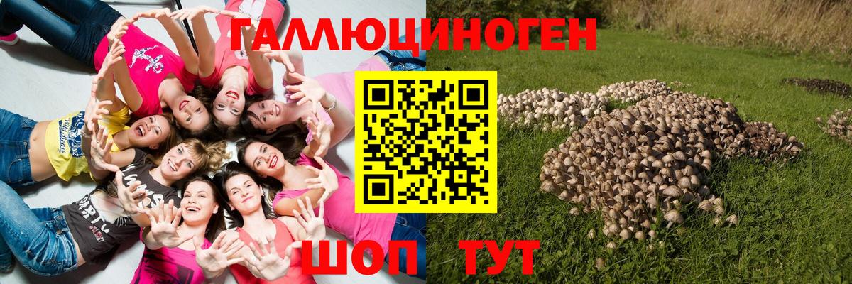 Псилоцибиновые грибы мухоморы Киреевск