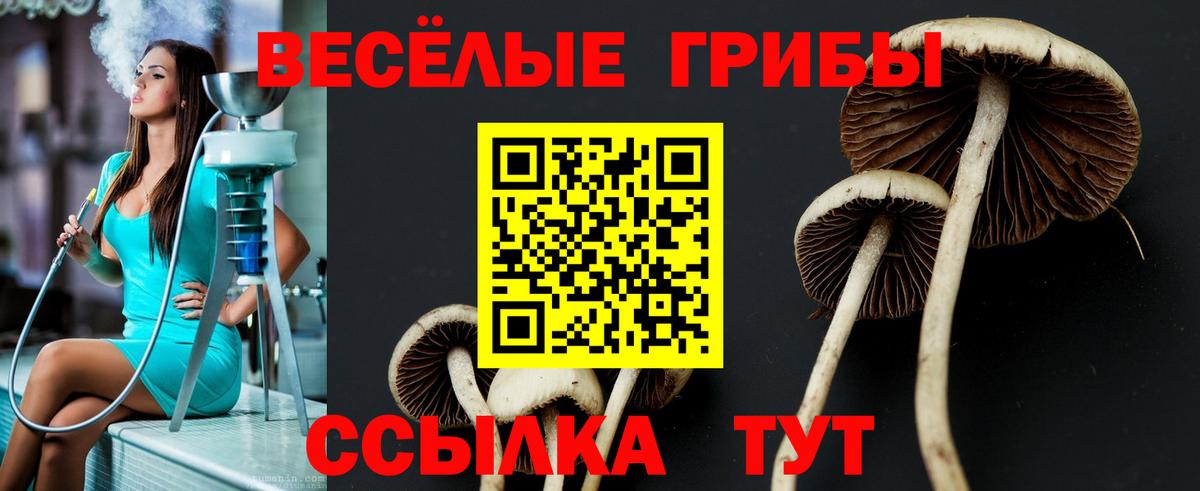 Галлюциногенные грибы прущие грибы  Псилоцибиновые грибы прущие грибы  купить наркотик  Вход с VPN  Киреевск 